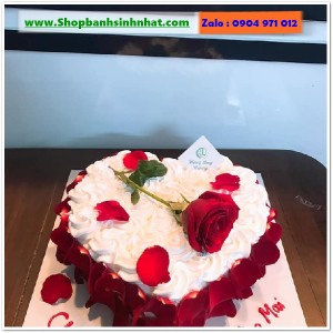 Bánh Sinh Nhật Tiramisu - T395